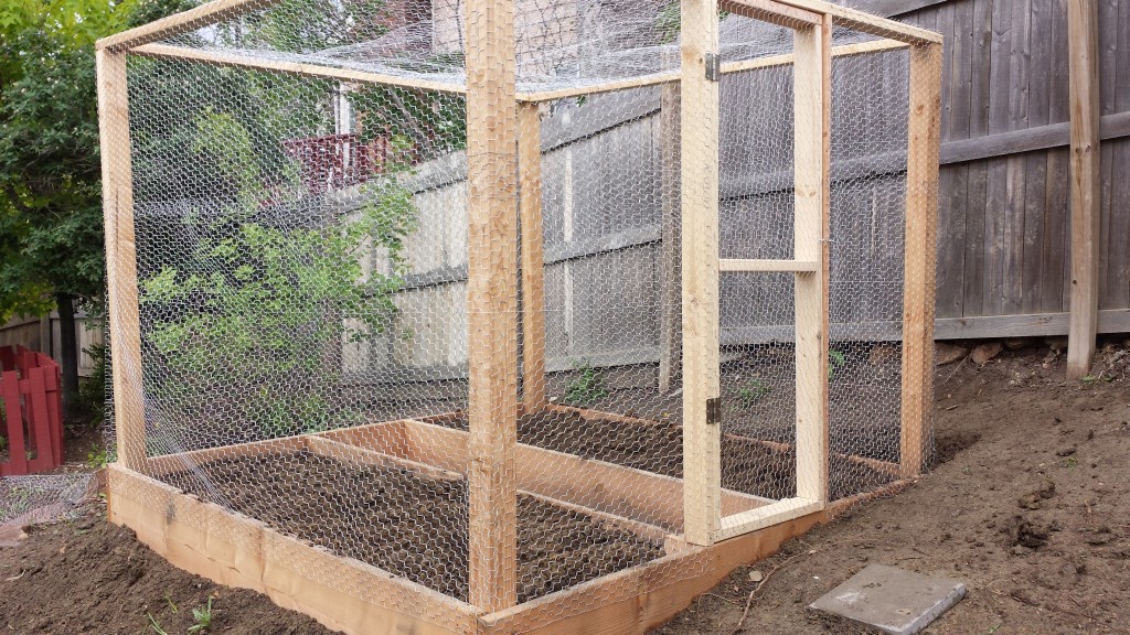 Garden Box Covered in Chicken Wire
